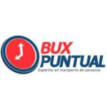 Bux Puntual